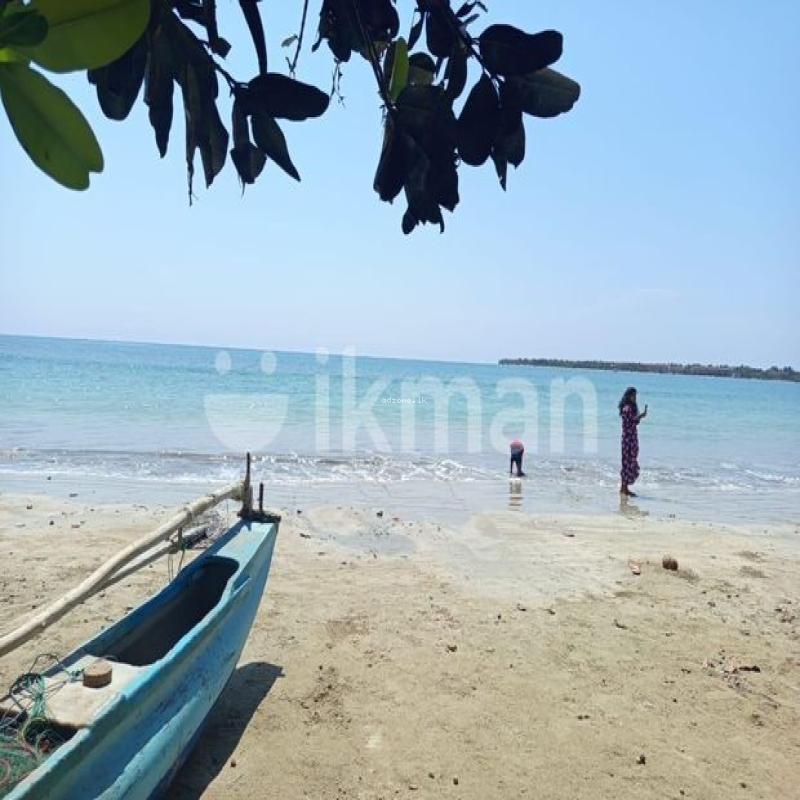 1206 Perch Prime Beachfront Land For Lease – Pasikudah (RML-BATPK-17)