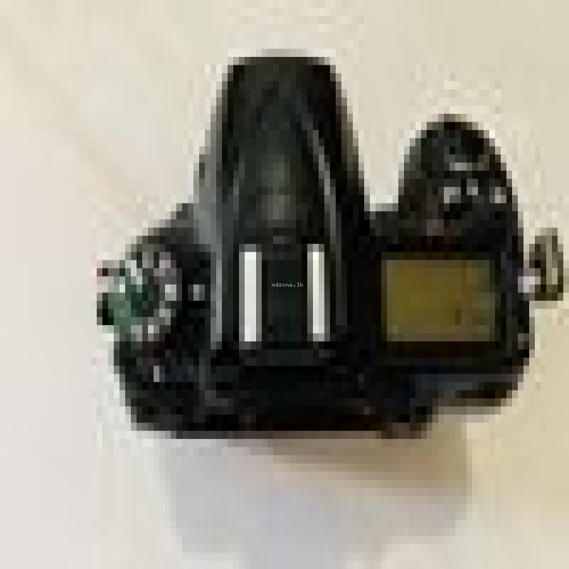 Nikon D7000 / 200-500 Lens